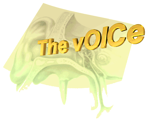 The vOICe Auditory Display