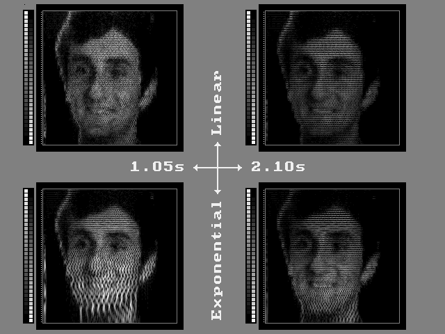 [Spectrograms of human face.]