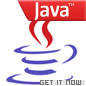Get Java runtime