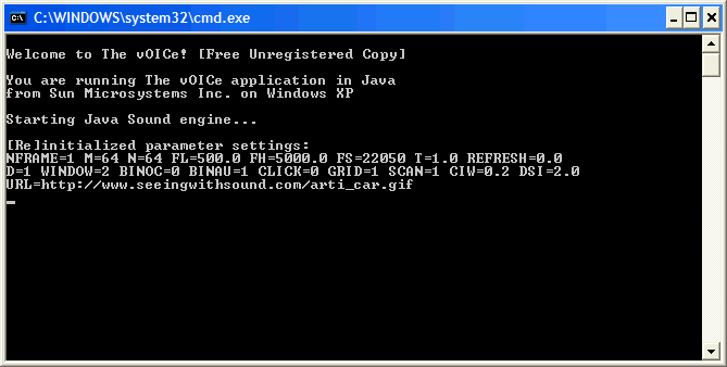 JavOICe batch file window